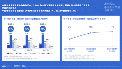 《2022中國(guó)數(shù)字營(yíng)銷(xiāo)趨勢(shì)報(bào)告》發(fā)布 數(shù)字廣告的未來(lái)與變革